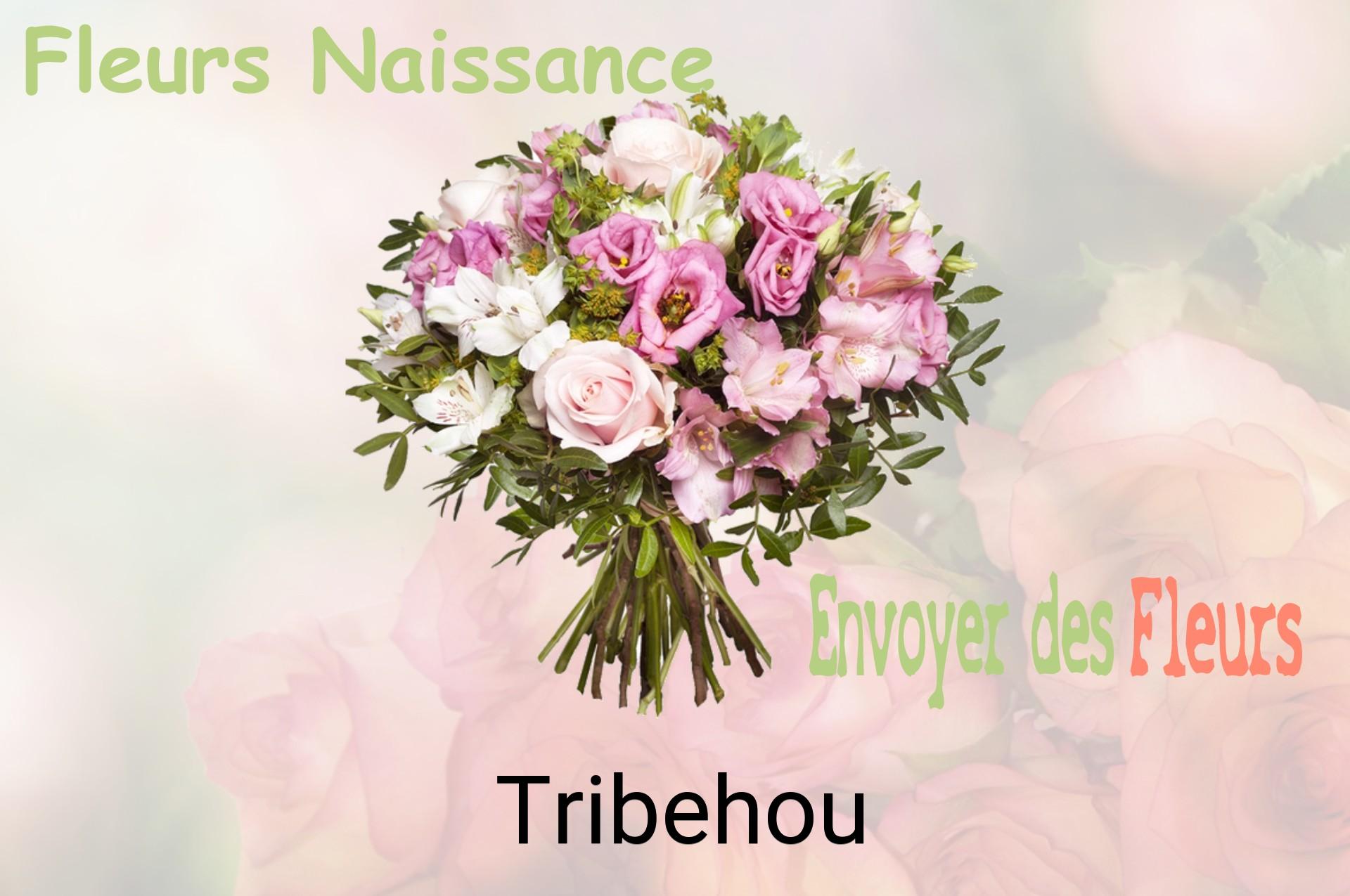 Bouquet de fleurs de naissance livré à Tribehou