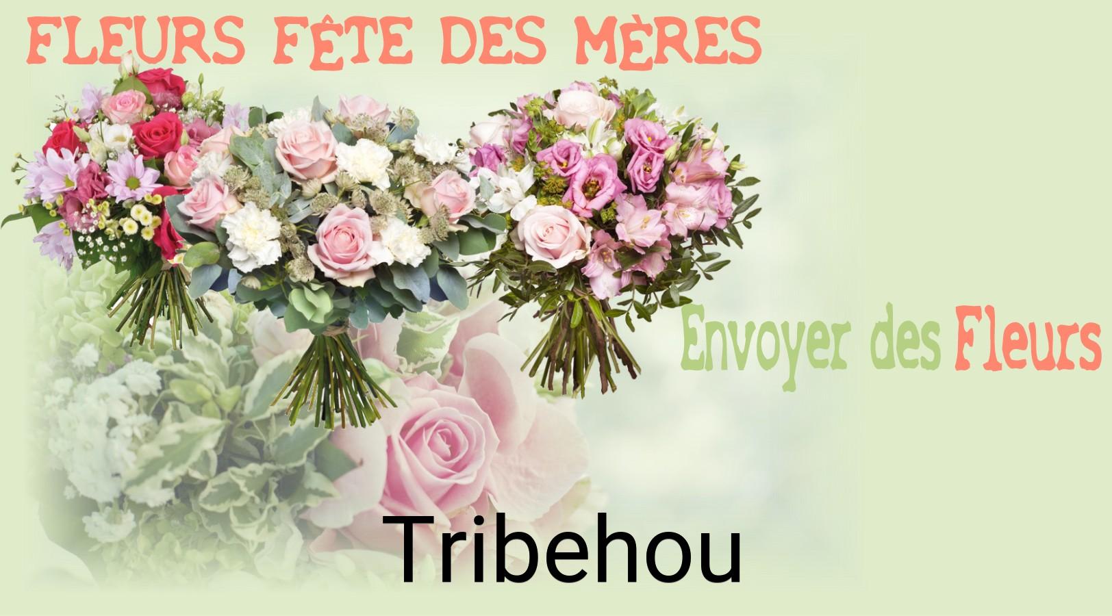 Bouquet de Fête des Mères livré à Tribehou